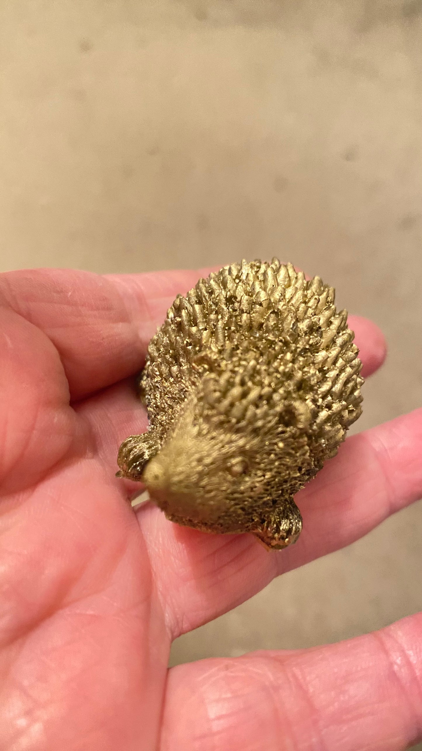 Adorable Wee Hedgehog Family & Farm Friends π¦