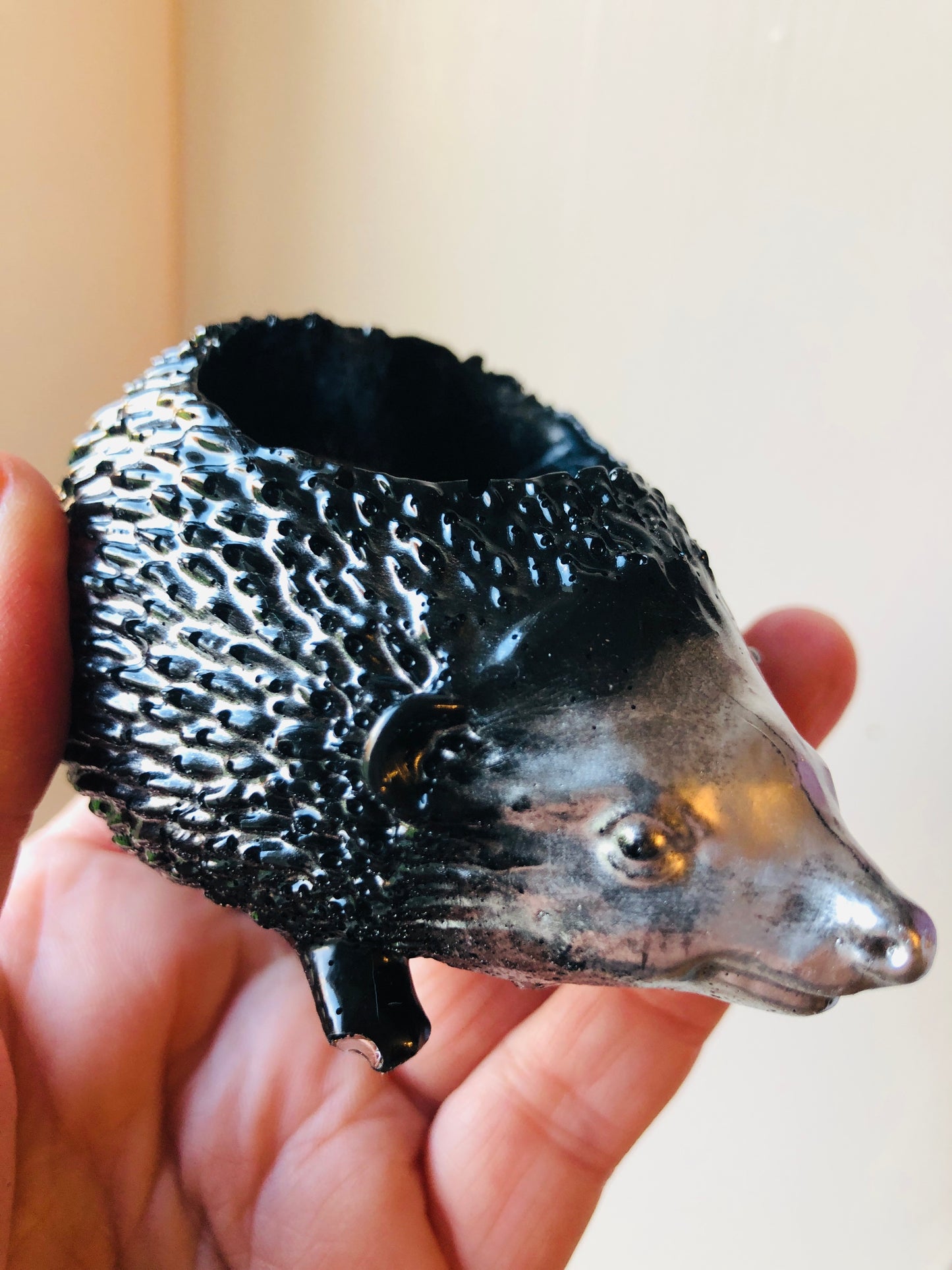 Adorable Wee Hedgehog Family & Farm Friends π¦