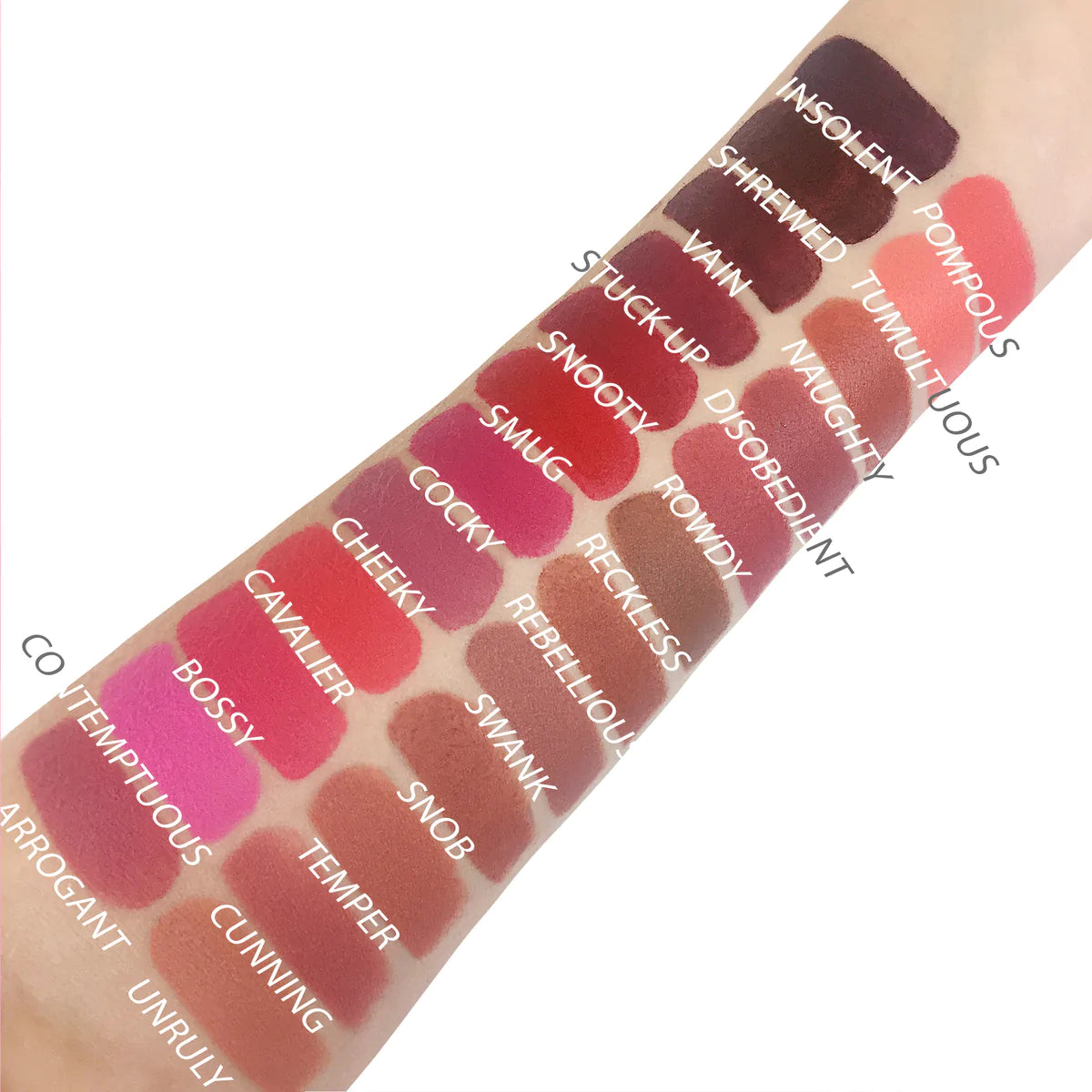 Rude Attitude Matte Lipstick π