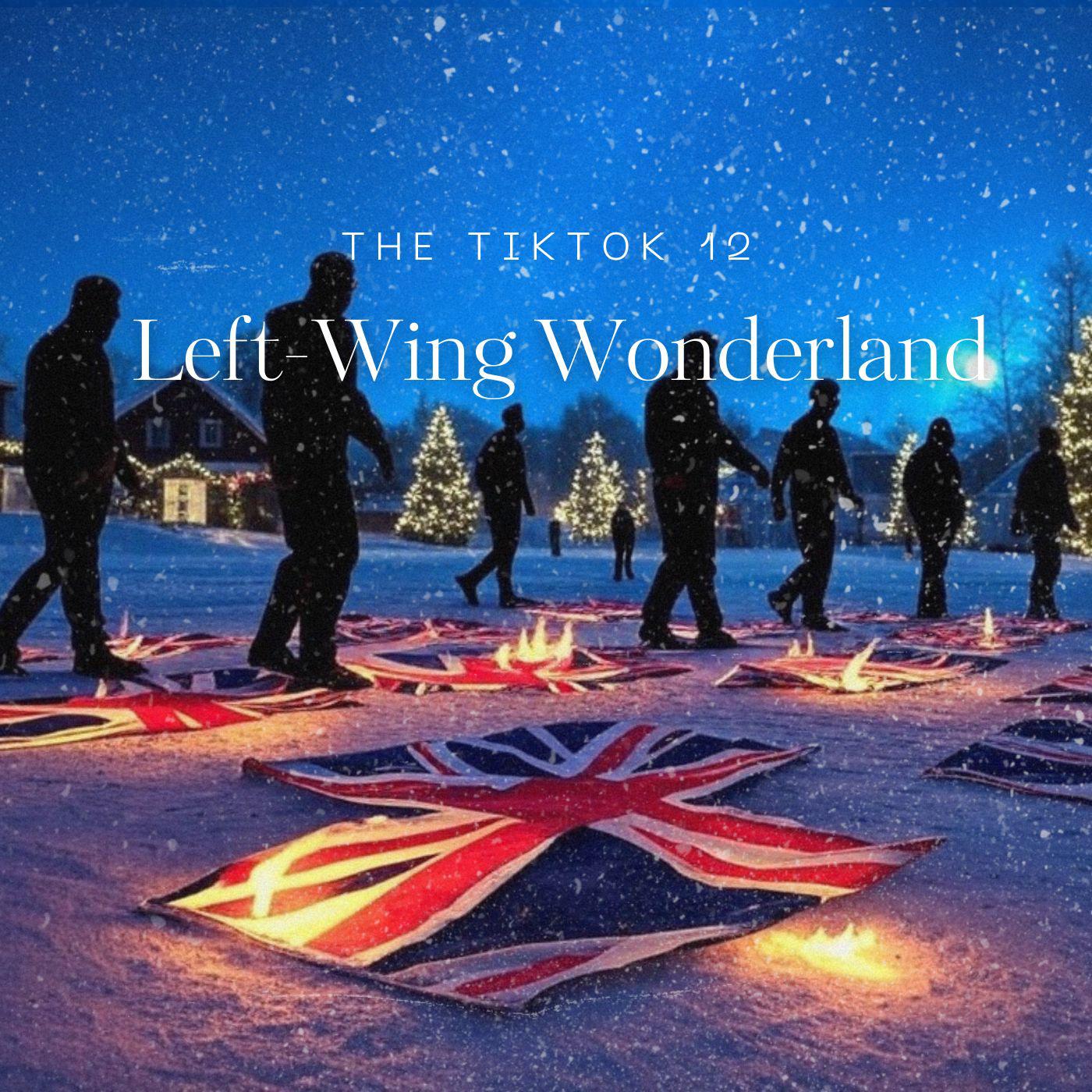 Left Wing Wonderland - The MP3