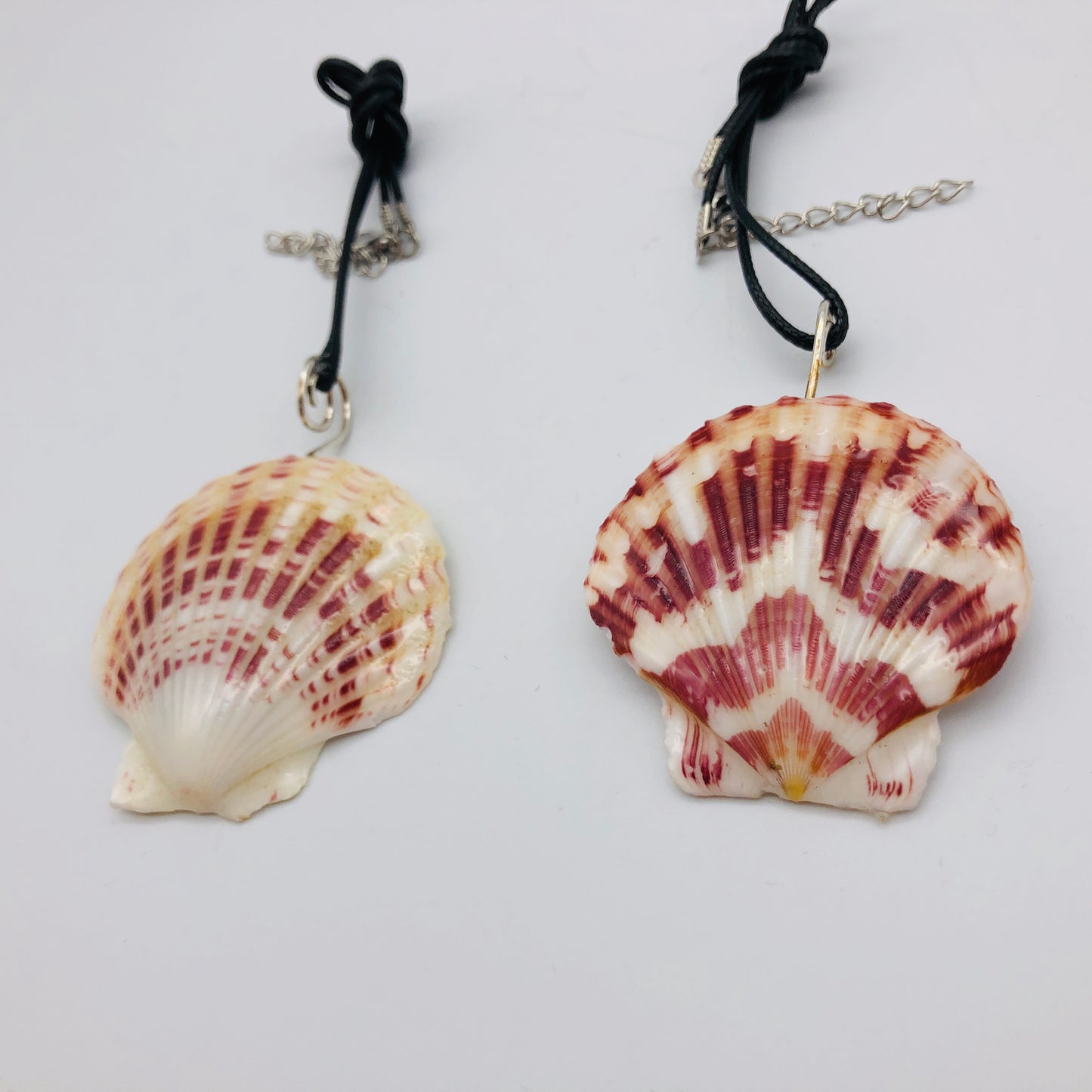 Nature and Resin Renaissance Collection 🐚 NEW ITEM