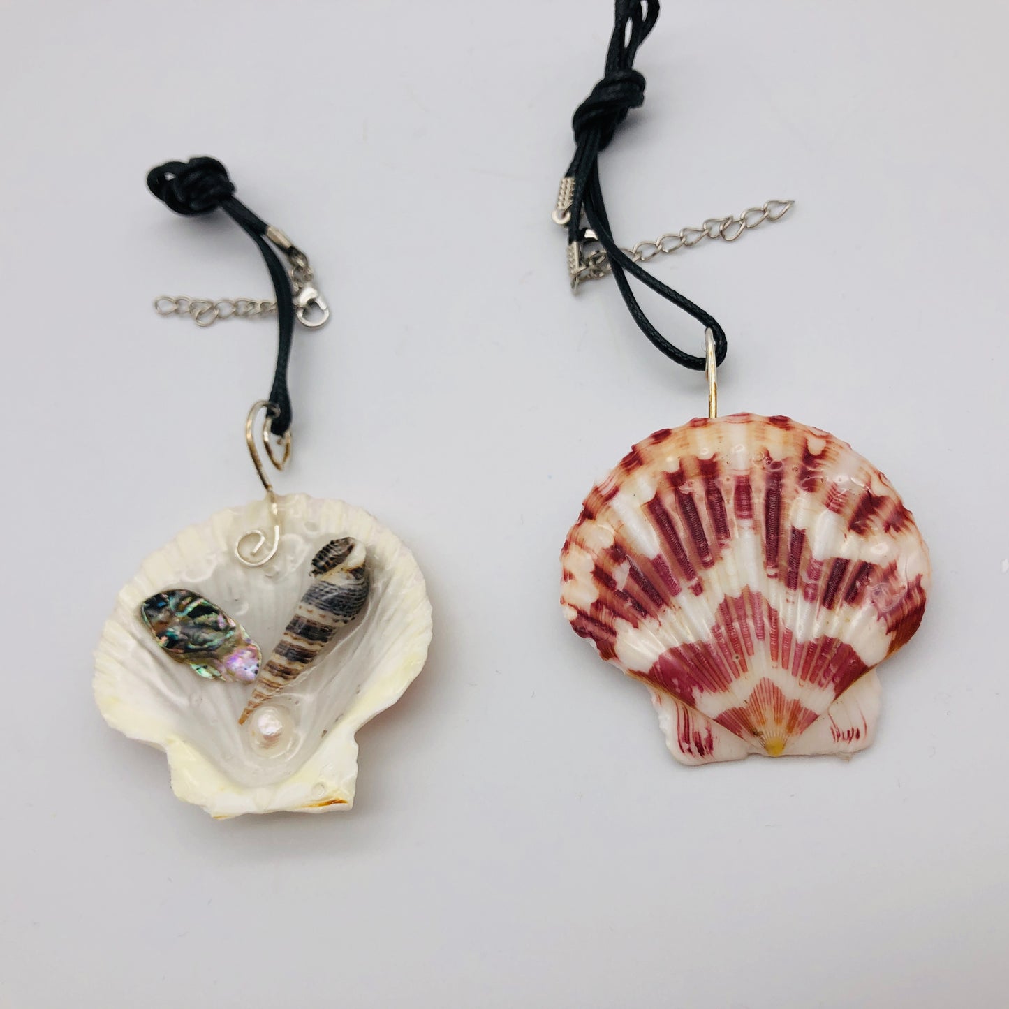 Nature and Resin Renaissance Collection 🐚 NEW ITEM