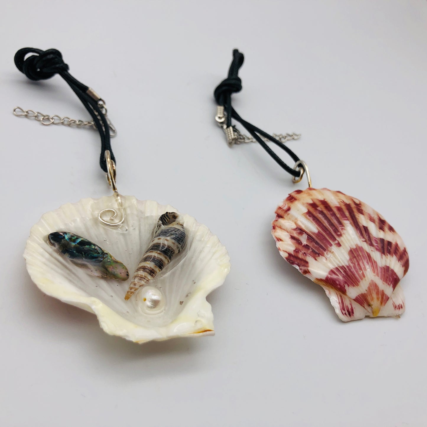 Nature and Resin Renaissance Collection 🐚 NEW ITEM