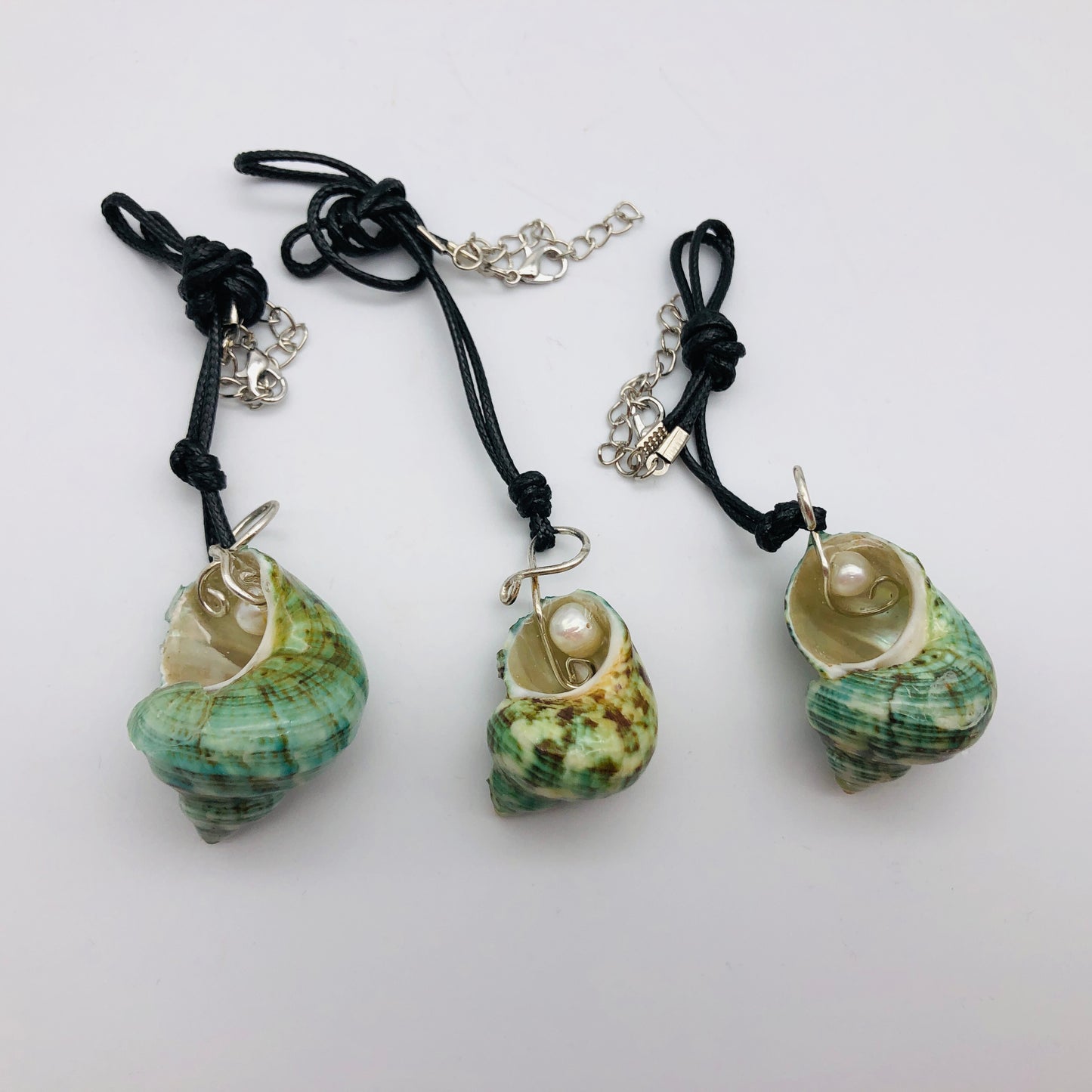 Nature and Resin Renaissance Collection 🐚 NEW ITEM