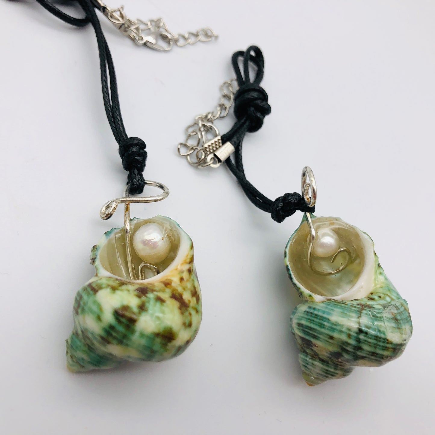 Nature and Resin Renaissance Collection 🐚 NEW ITEM